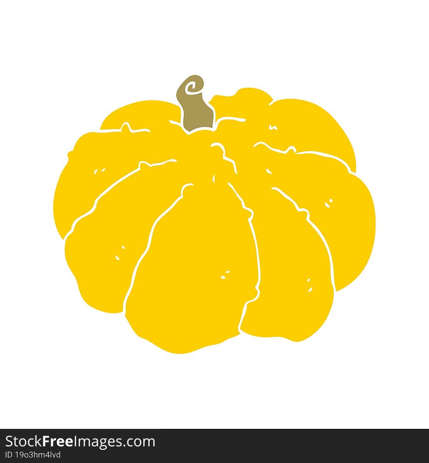 flat color style cartoon squash