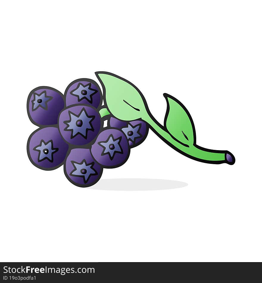 cartoon blueberries