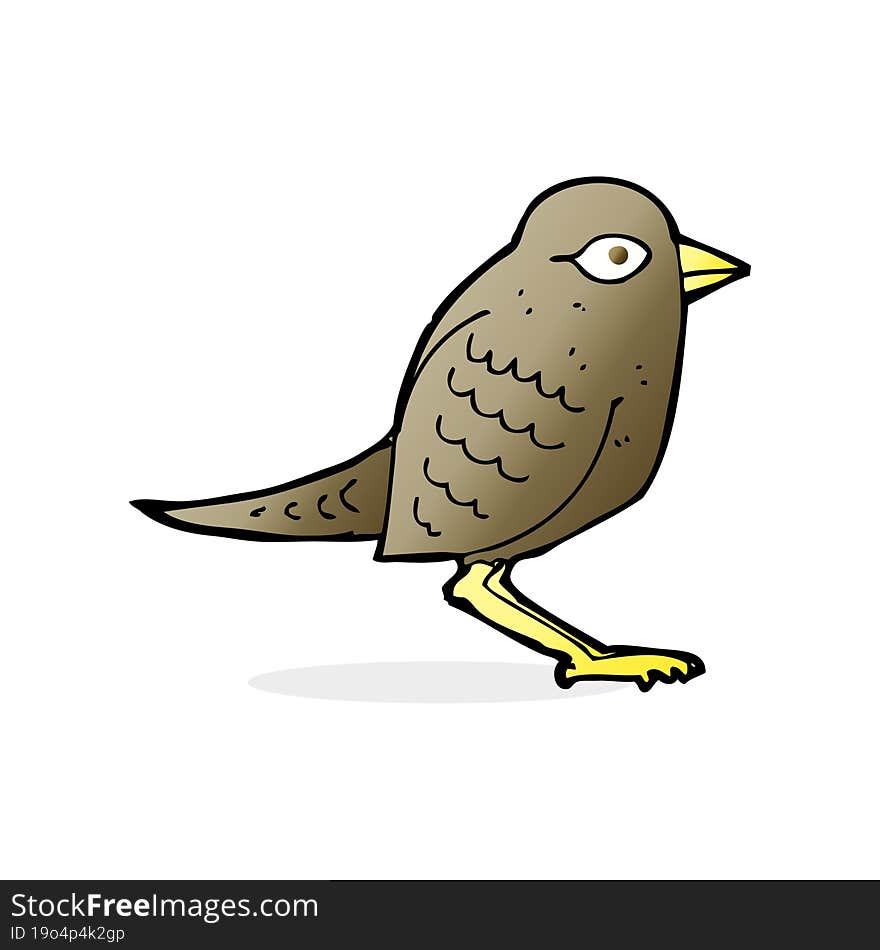 Cartoon Garden Bird