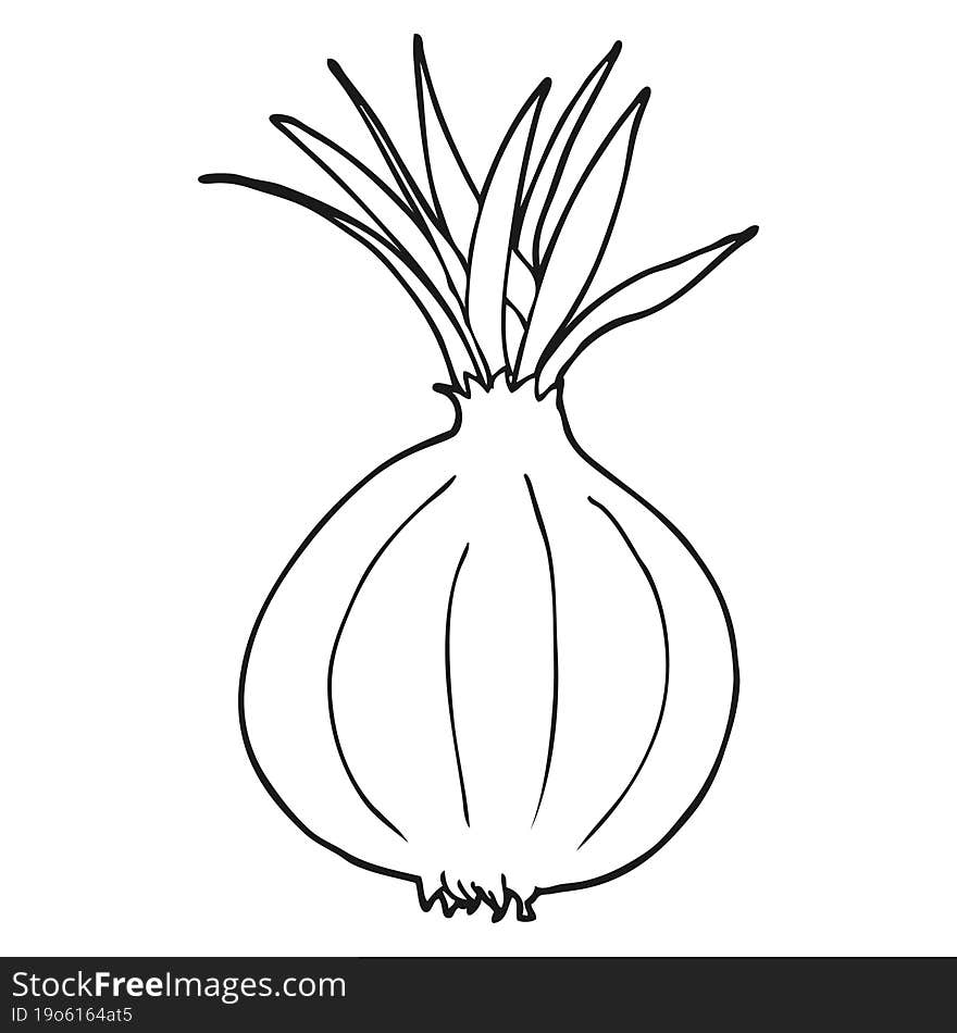 Black And White Cartoon Onion