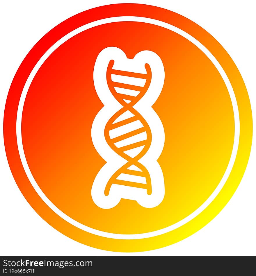 DNA chain circular in hot gradient spectrum