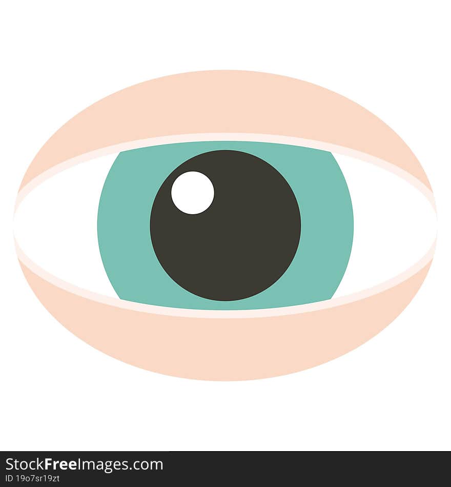 staring eye graphic vector illustration icon. staring eye graphic vector illustration icon