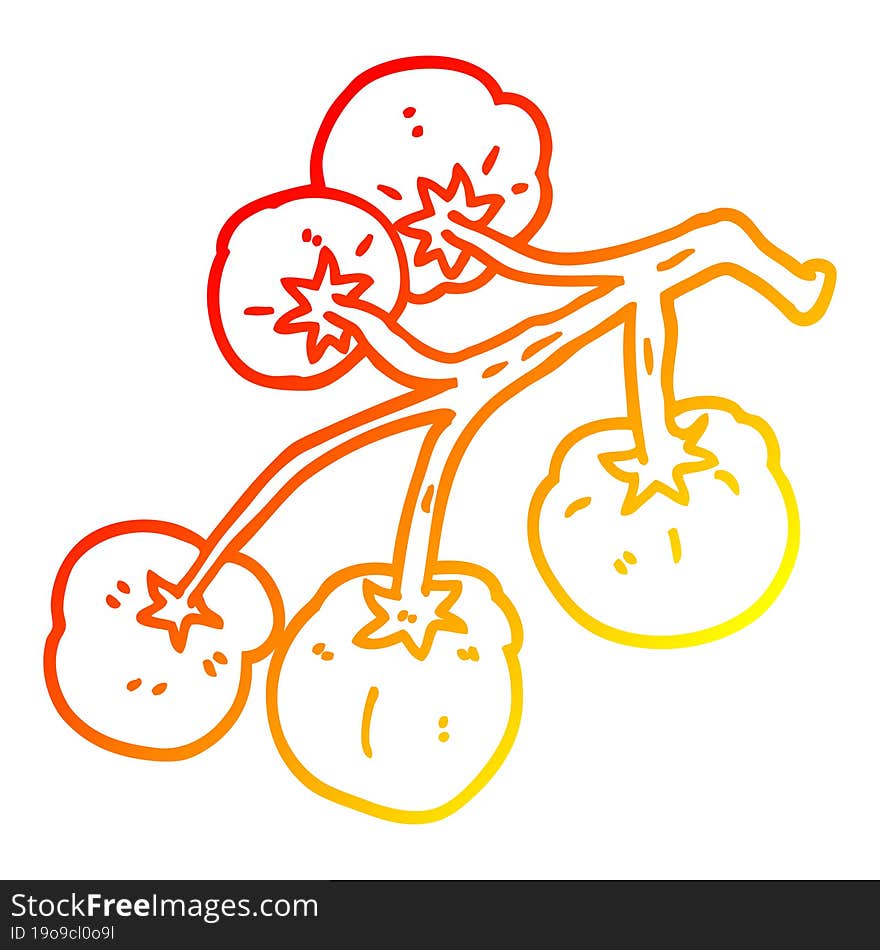 warm gradient line drawing cartoon tomatoes on vine