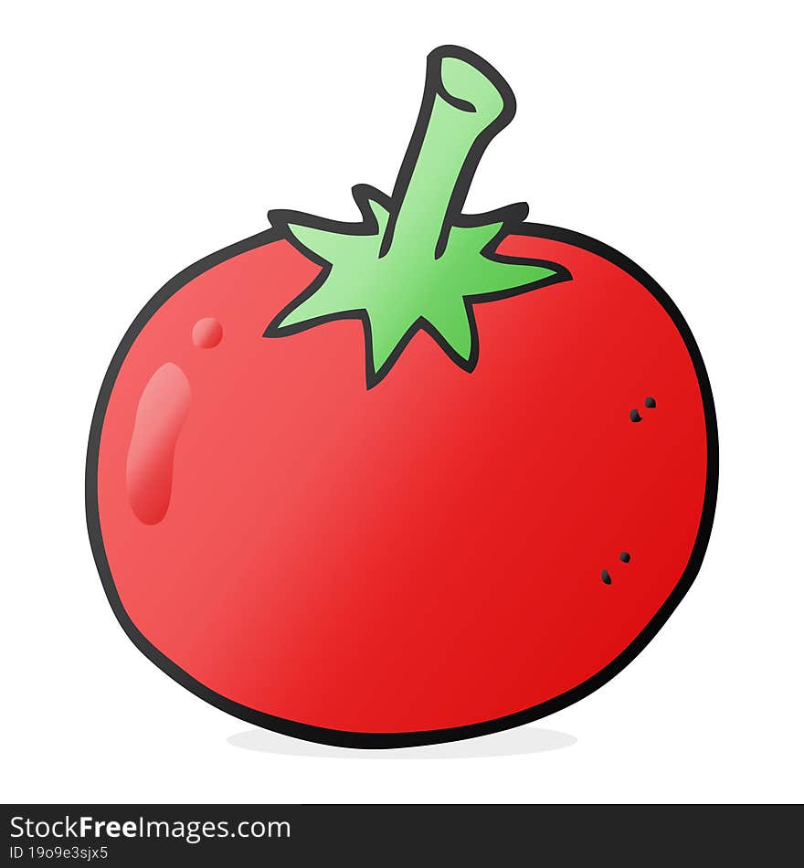 freehand drawn cartoon tomato