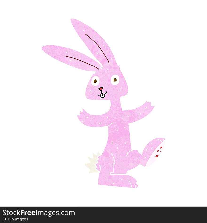 Cartoon Rabbit