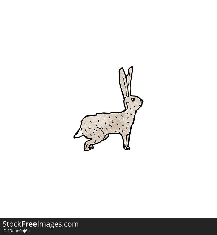 hare illustration