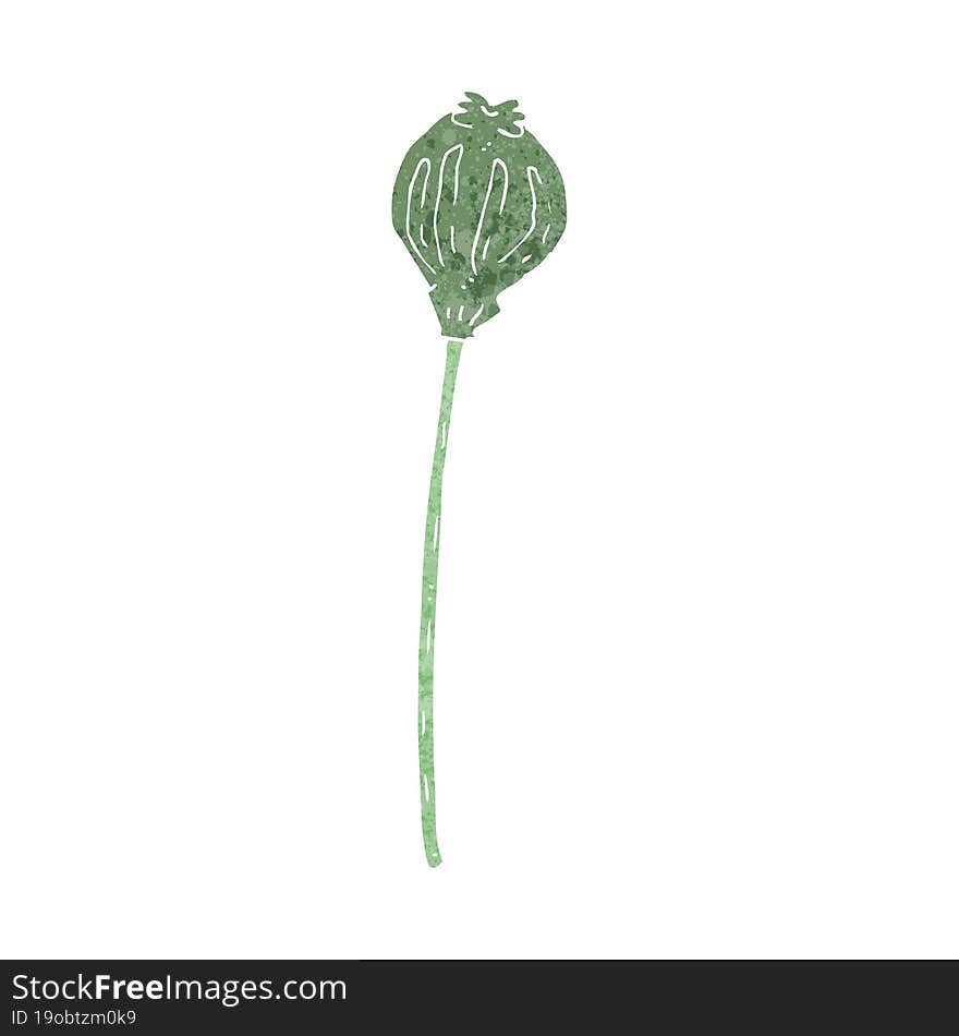 cartoon dried poppy