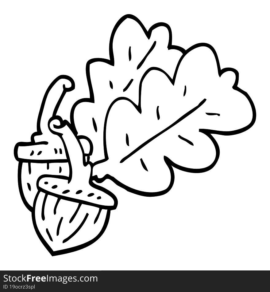 line drawing cartoon acorn