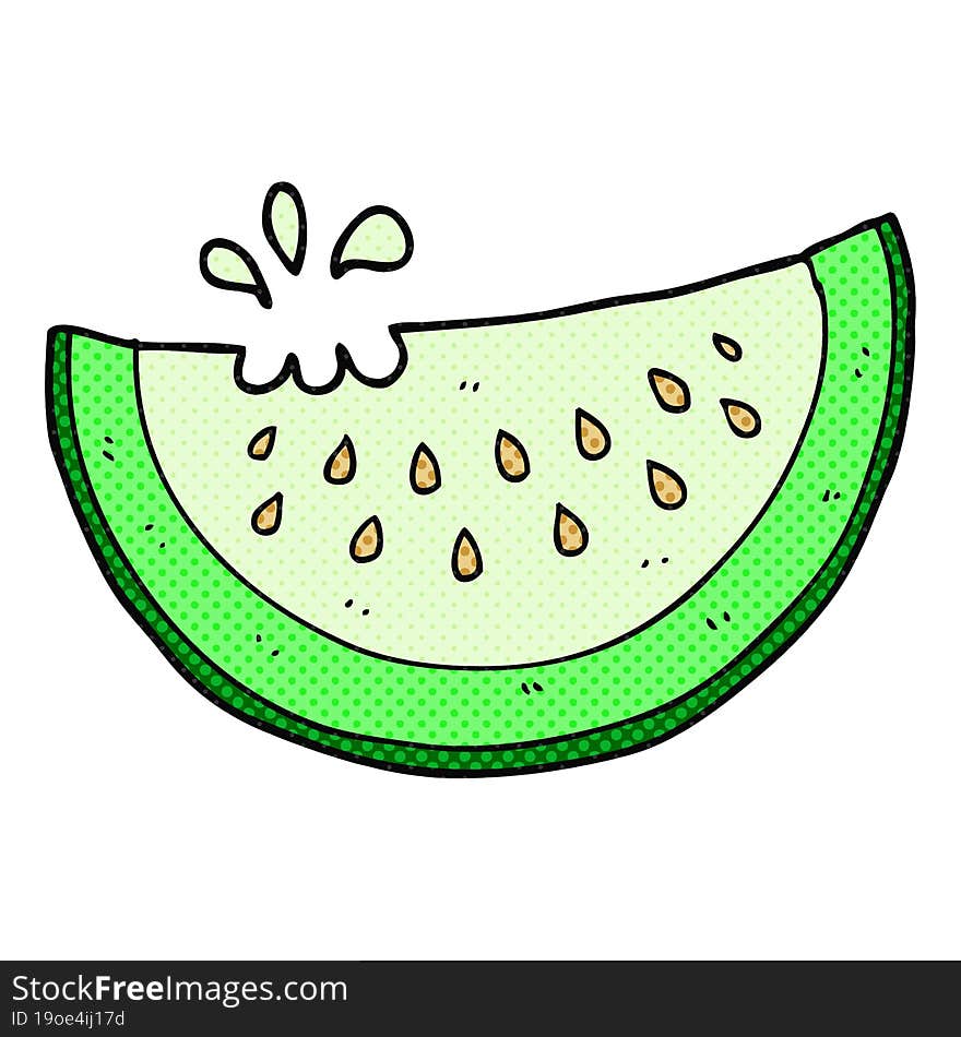 freehand drawn cartoon melon slice