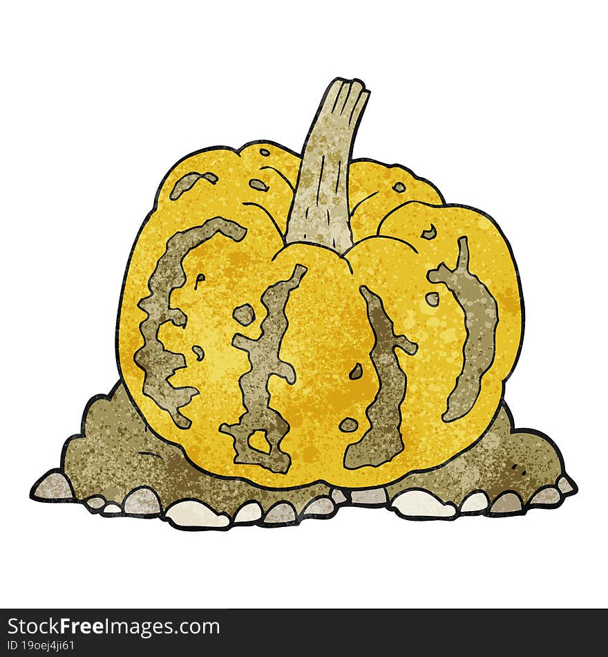 Textured Cartoon Squash