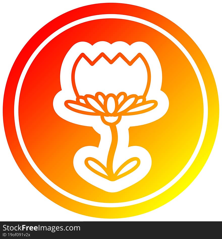 lotus flower circular icon with warm gradient finish. lotus flower circular icon with warm gradient finish