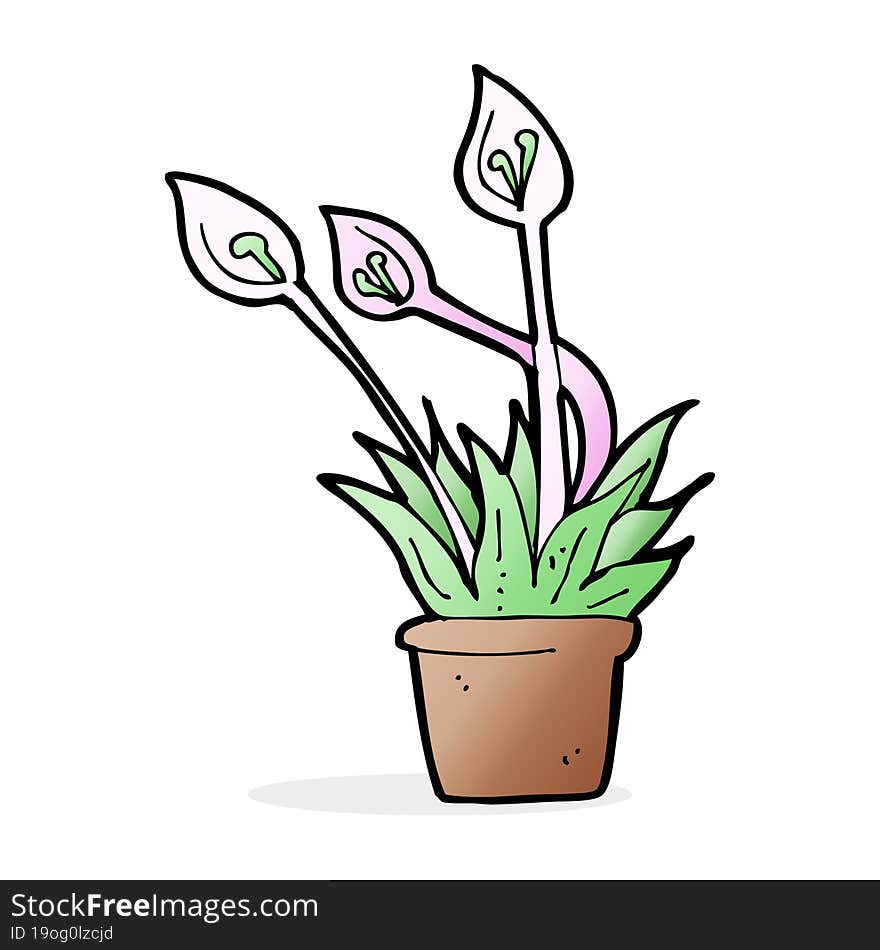 cartoon orchid plant