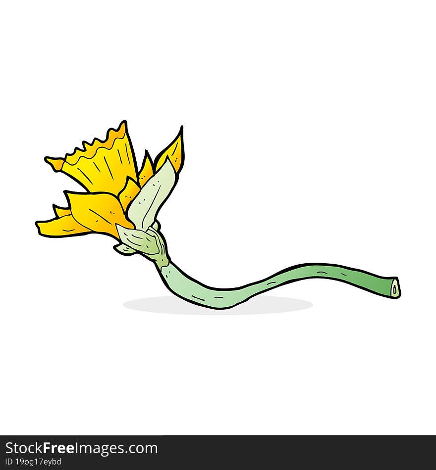 cartoon daffodil flower