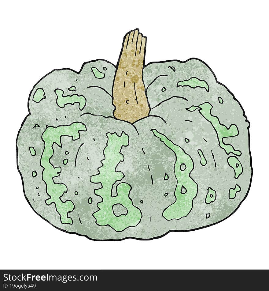 Textured Cartoon Squash