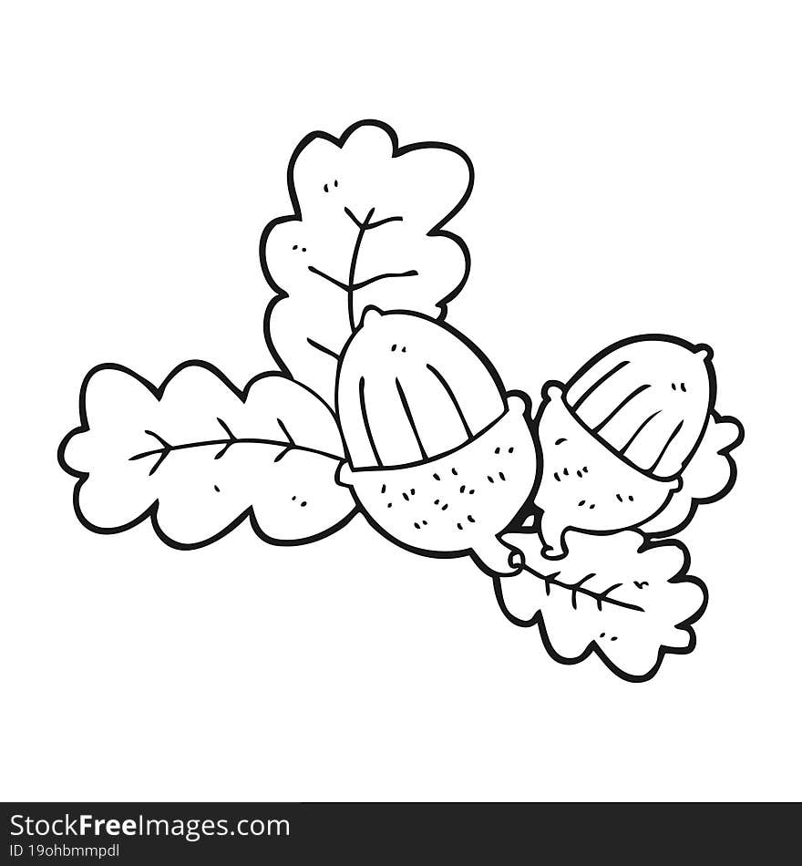 black and white cartoon acorns and leaves