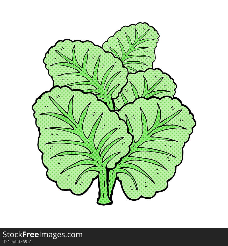 Cartoon Cabbage Leaves