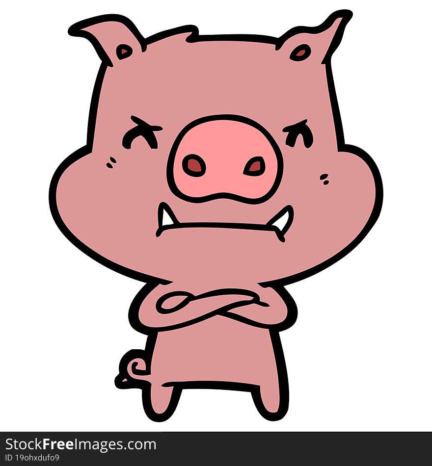 angry cartoon pig. angry cartoon pig