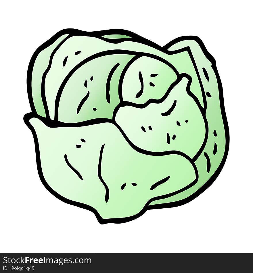 cartoon doodle organic lettuce