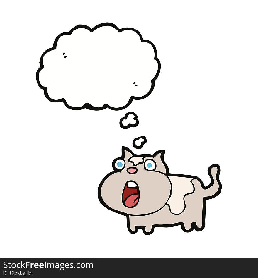 cartoon shocked cat with thought bubble