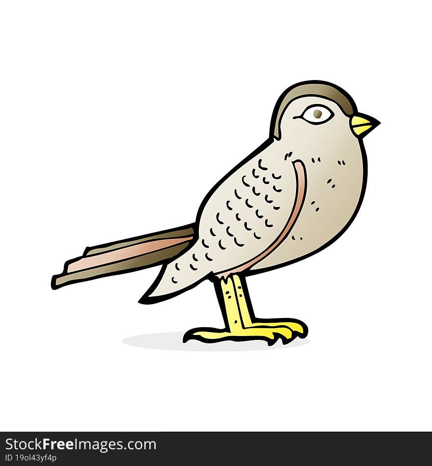 Cartoon Garden Bird