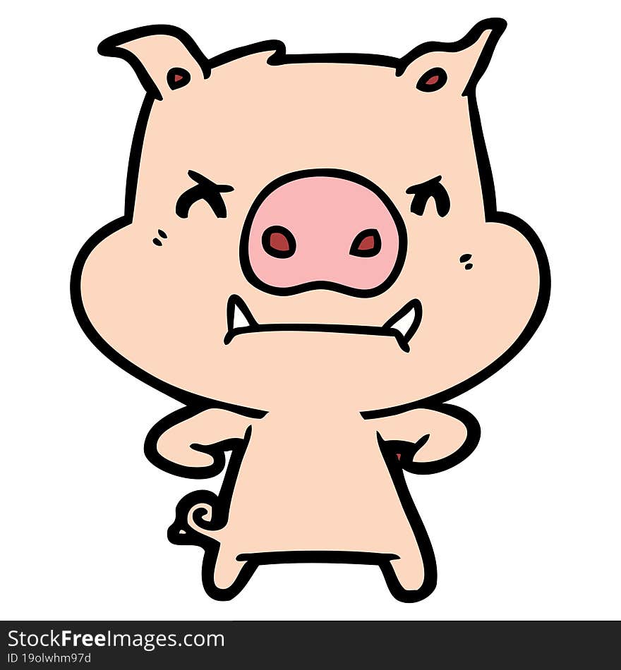 angry cartoon pig. angry cartoon pig