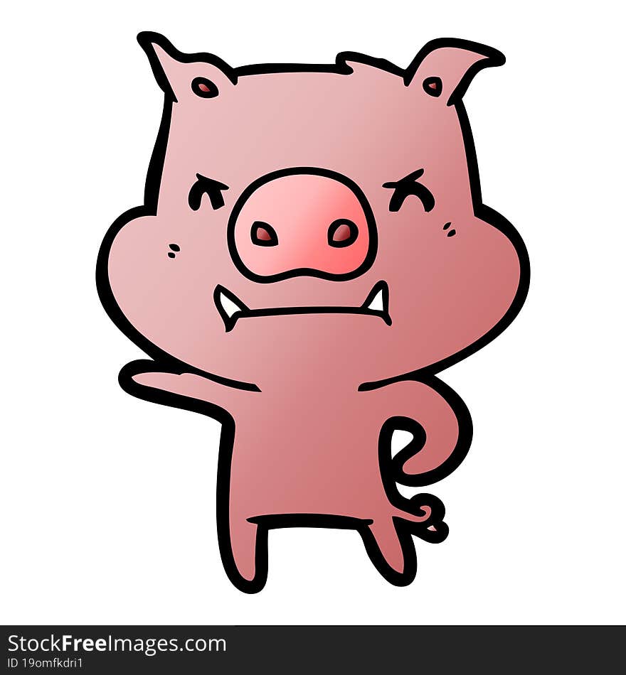 angry cartoon pig. angry cartoon pig