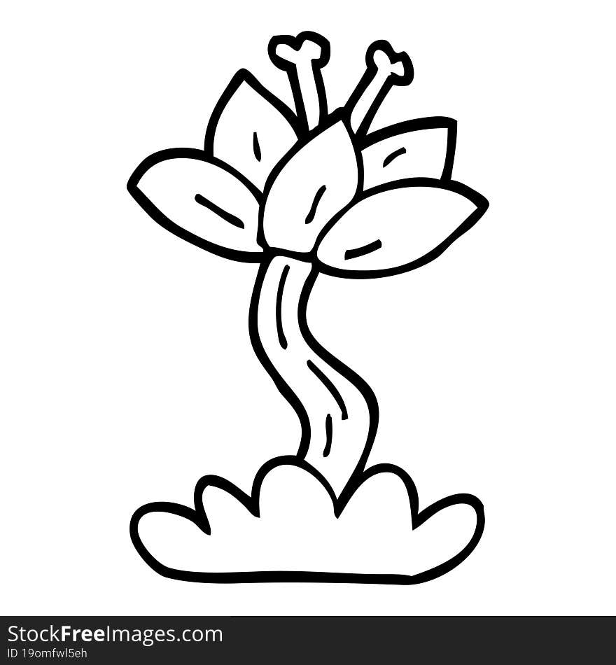 line drawing cartoon lilly flower