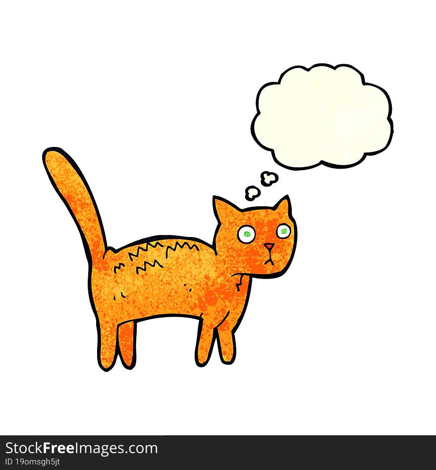 cartoon frightened cat with thought bubble