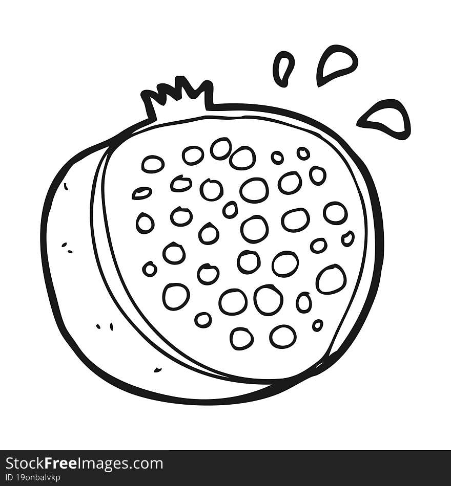 freehand drawn black and white cartoon pomegranate