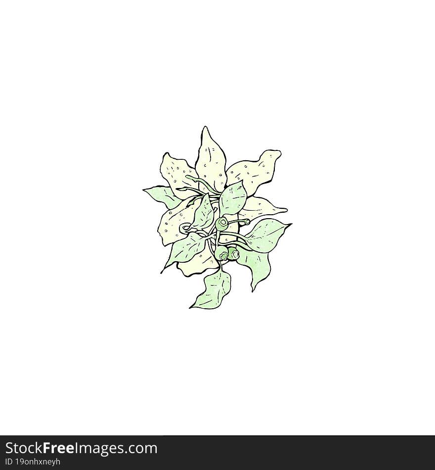 flowers illustration