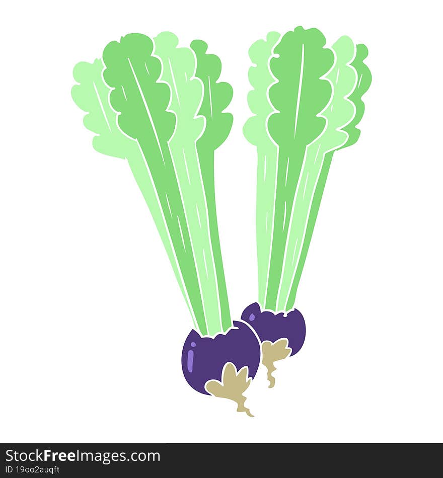 flat color style cartoon beetroots