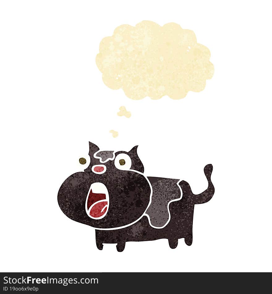 cartoon shocked cat with thought bubble