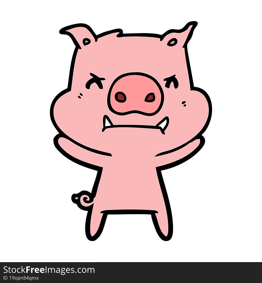 angry cartoon pig. angry cartoon pig