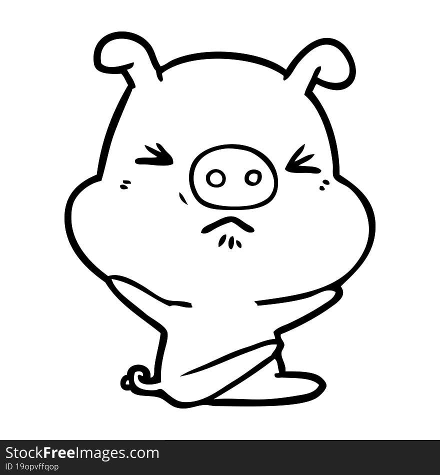 cartoon angry pig. cartoon angry pig