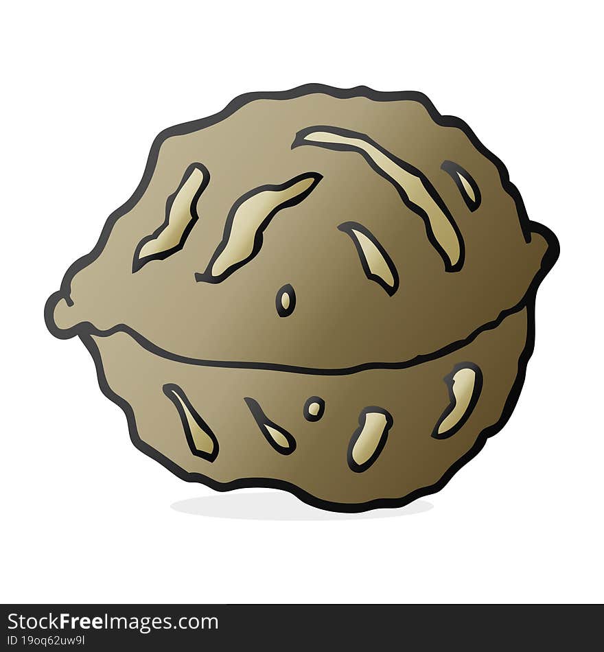 Cartoon Walnut In Shell