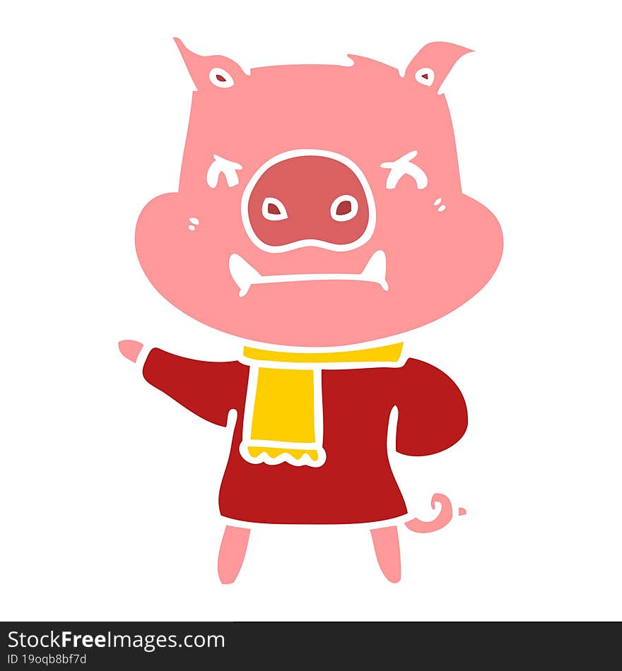 angry flat color style cartoon pig in winter clothes