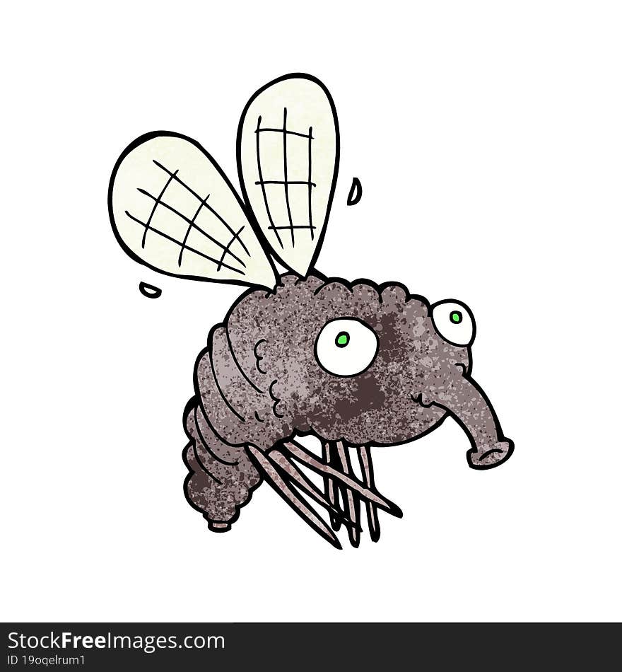 Cartoon Fly