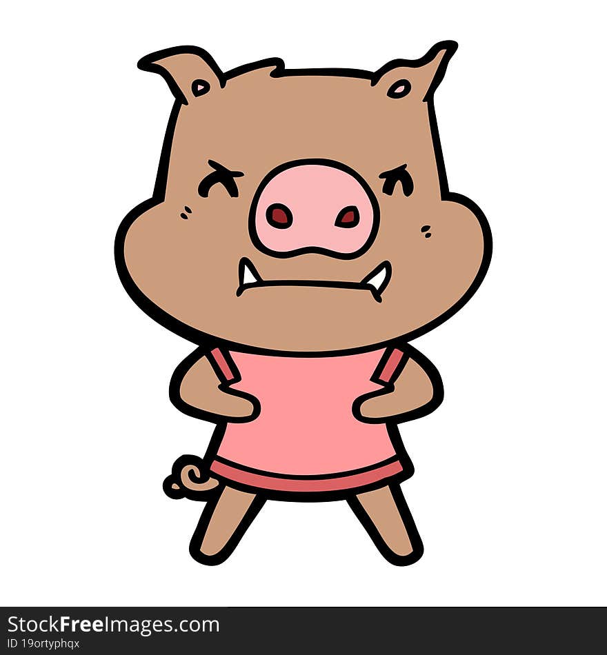 angry cartoon pig. angry cartoon pig