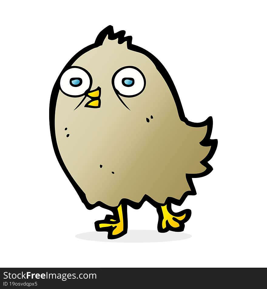 funny cartoon bird