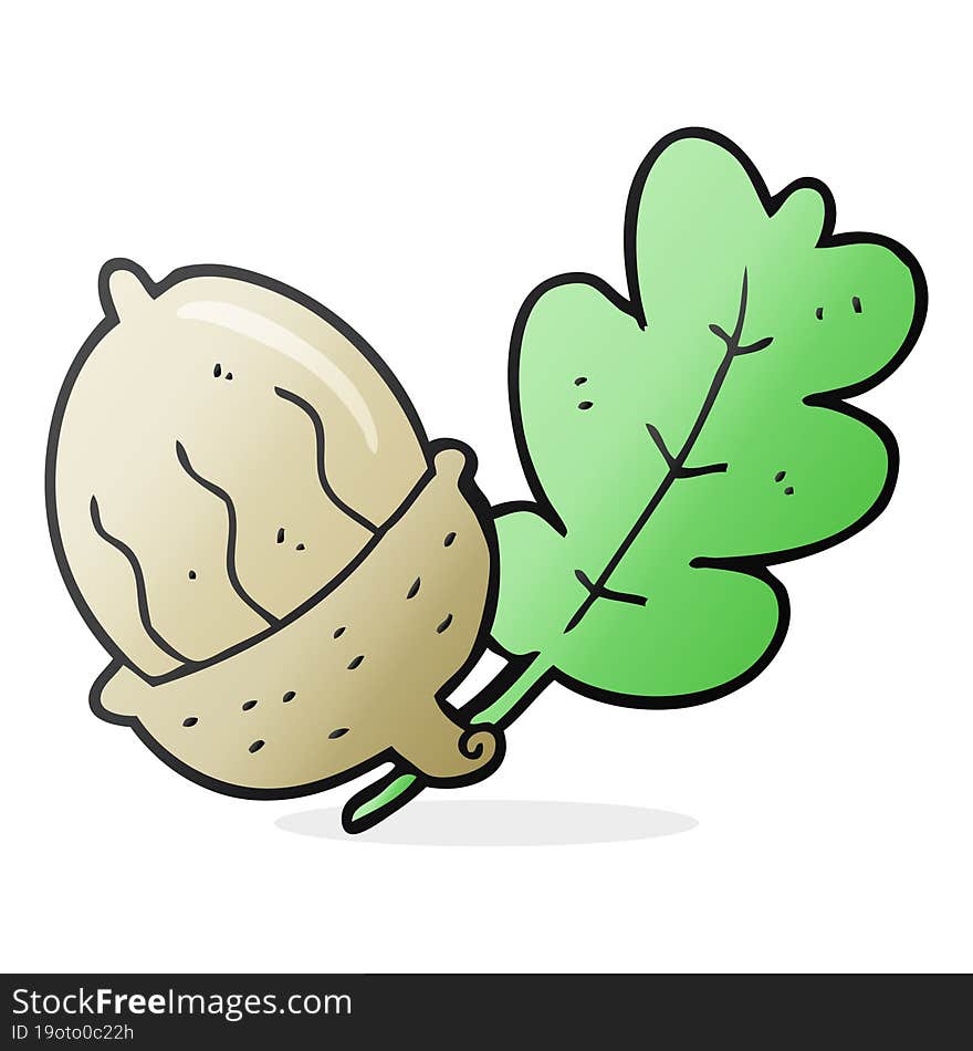 cartoon acorn