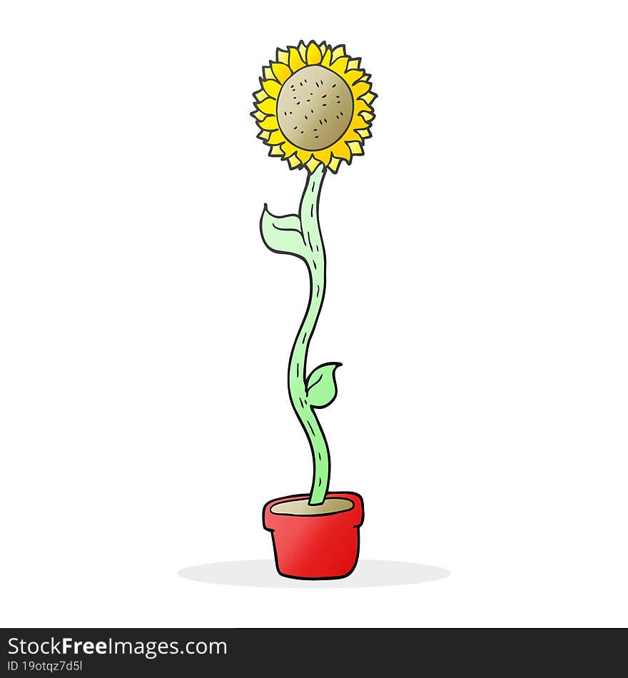 cartoon sunflower