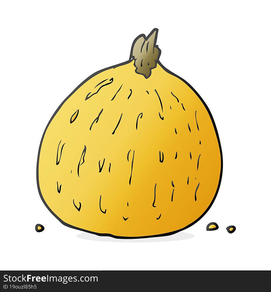 cartoon squash