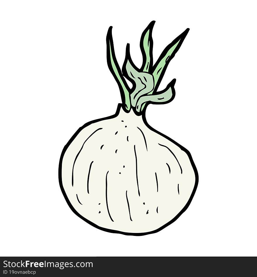 Cartoon Onion