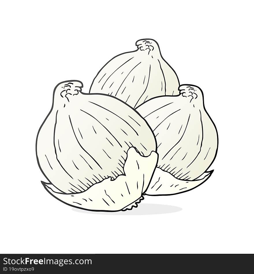 freehand drawn cartoon onions
