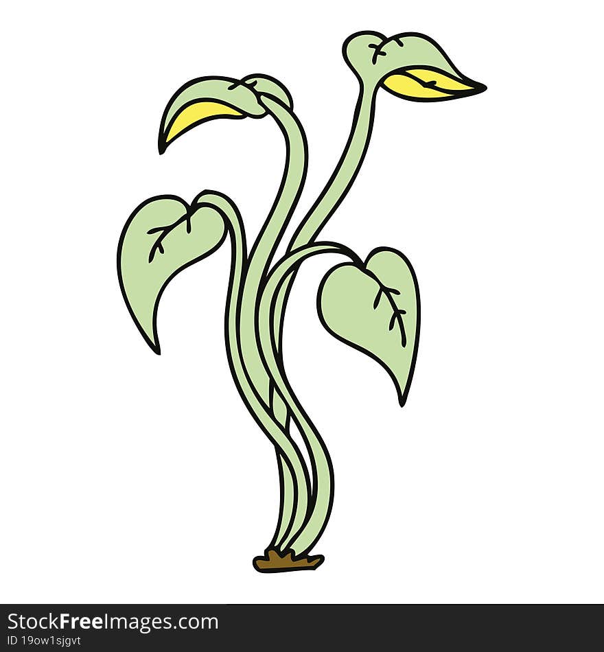 quirky hand drawn cartoon plant