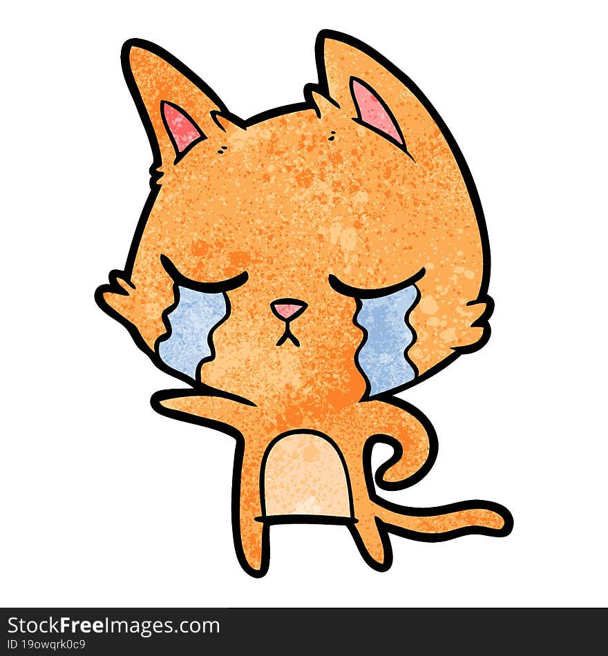 crying cartoon cat pointing. crying cartoon cat pointing