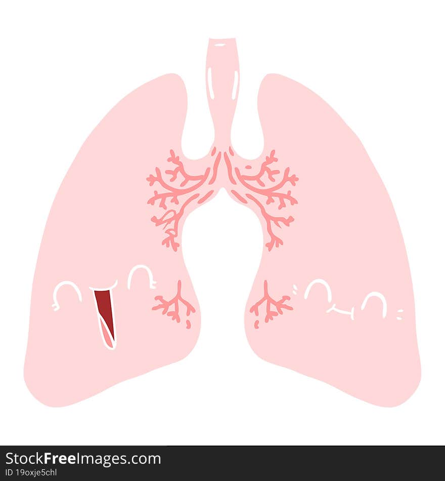 flat color style cartoon lungs