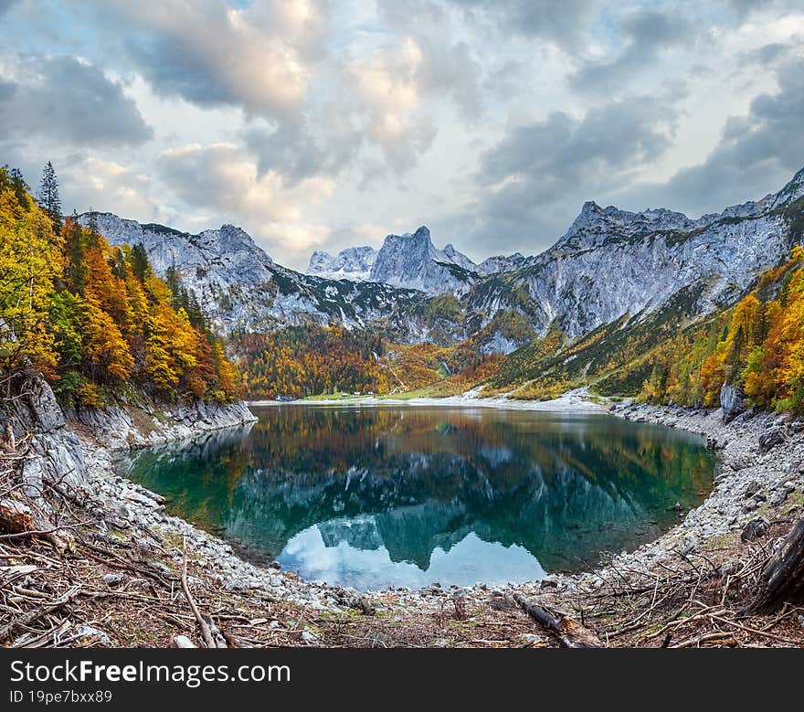 Tree stumps after deforestation near Hinterer Gosausee lake, Upper Austria. Colorful autumn alpine mountain lake  view with clear transparent water and reflections. Dachstein summit and glacier in far. Tree stumps after deforestation near Hinterer Gosausee lake, Upper Austria. Colorful autumn alpine mountain lake  view with clear transparent water and reflections. Dachstein summit and glacier in far