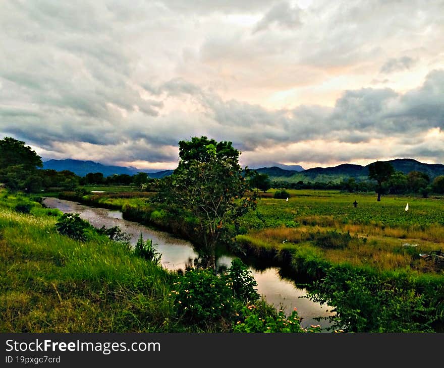 Afternoon tour with Wasgamuwa National Forest and the beautiful Riverstein mountain ranges seen through the clouds. Afternoon tour with Wasgamuwa National Forest and the beautiful Riverstein mountain ranges seen through the clouds.