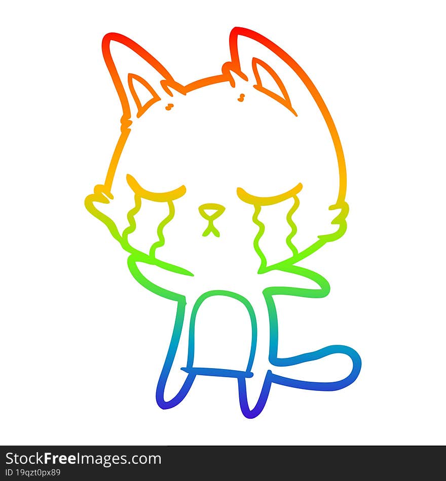 rainbow gradient line drawing crying cartoon cat